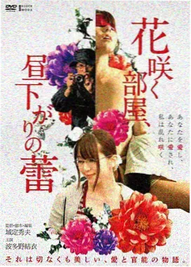 静默海岸电影在线播放封面